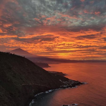 Best View Tenerife Vivienda Vacacional La Matanza De Acentejo Exterior photo
